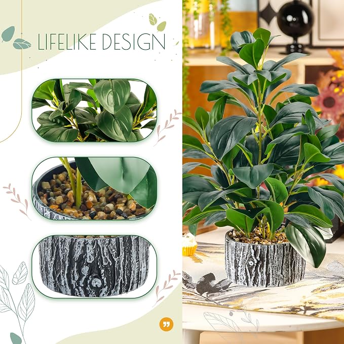 Der Rose 15.7" 2Pcs Faux Money Leaf Plants Indoor for SheIf Desk Decor | Artificial plants round, broad and thick leaves in textured planters style separate spaces or create a rustic shelf display
